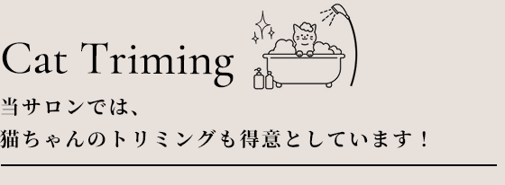 当サロンでは、猫ちゃんのトリミングも得意としています！